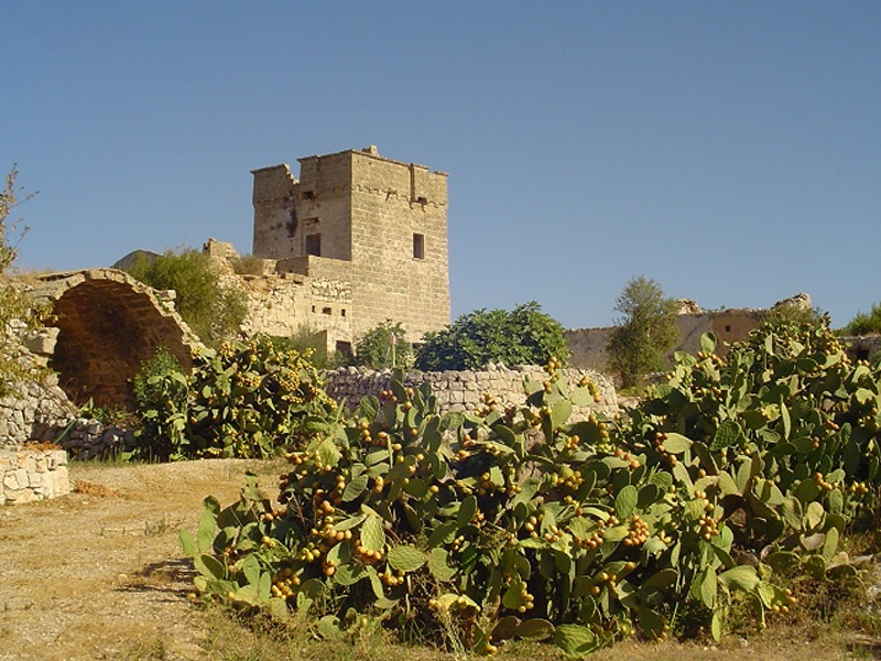 Masseria nel Feudo di Salve